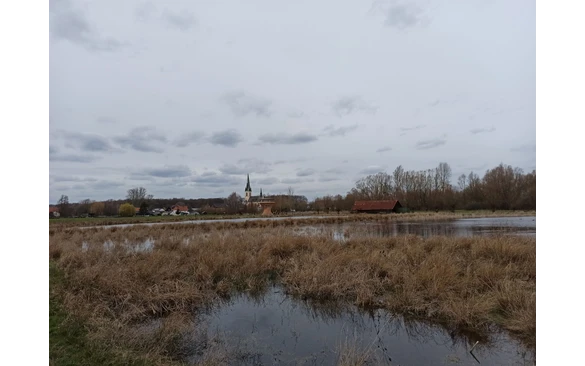 Vom neuen Ausssichtsturm eröffnet sich ein fantastischer Blick über das Naturschutzgebiet Woeste. Er fügt sich mit seiner Architektur ideal in das Gelände ein.