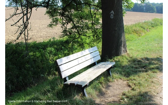 Pausenbank an der Subbieke