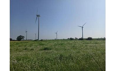 Ein schönes Bild - Windräder und Wildblumenwiese auf dem Haarstrang.