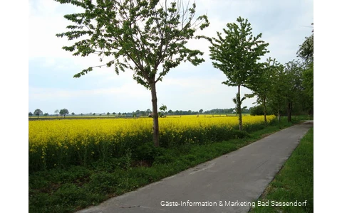 Kiepenkerlweg am Rand von Elfsen