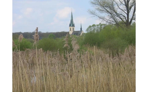 Blick auf Ostinghausen