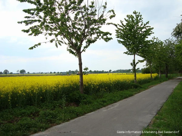 Kiepenkerlweg am Rand von Elfsen