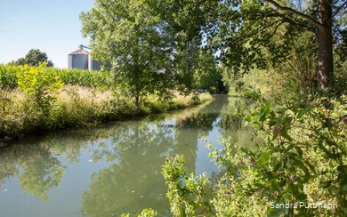 Viele Besonderheiten in der Flora und Fauna gibt es entlang der Rosenau von Bad Sassendorf-Weslarn bis ins Ortszentrum Bad Sassendorf zu entdecken.