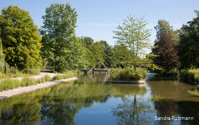 Kurpark Bad Sassendorf (Blick über den Teich)