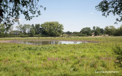 Das Naturschutzgebiet Woeste in Bad Sassendorf-Ostinghausen zählt zu den Höhepunkten entlang der neuen LEADER-Radroute Wasser.Wege.Winkel durch die Region Lippe-Möhnesee.